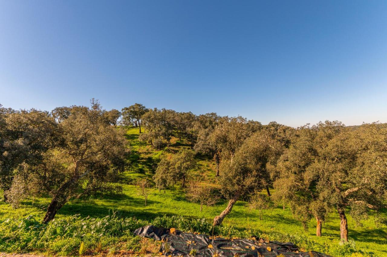 Sierra Melides Villa,Alentejo, Br2 With Private Pool, Br3 With Private Pool - Near Beach Sao Francisco da Serra Exterior photo