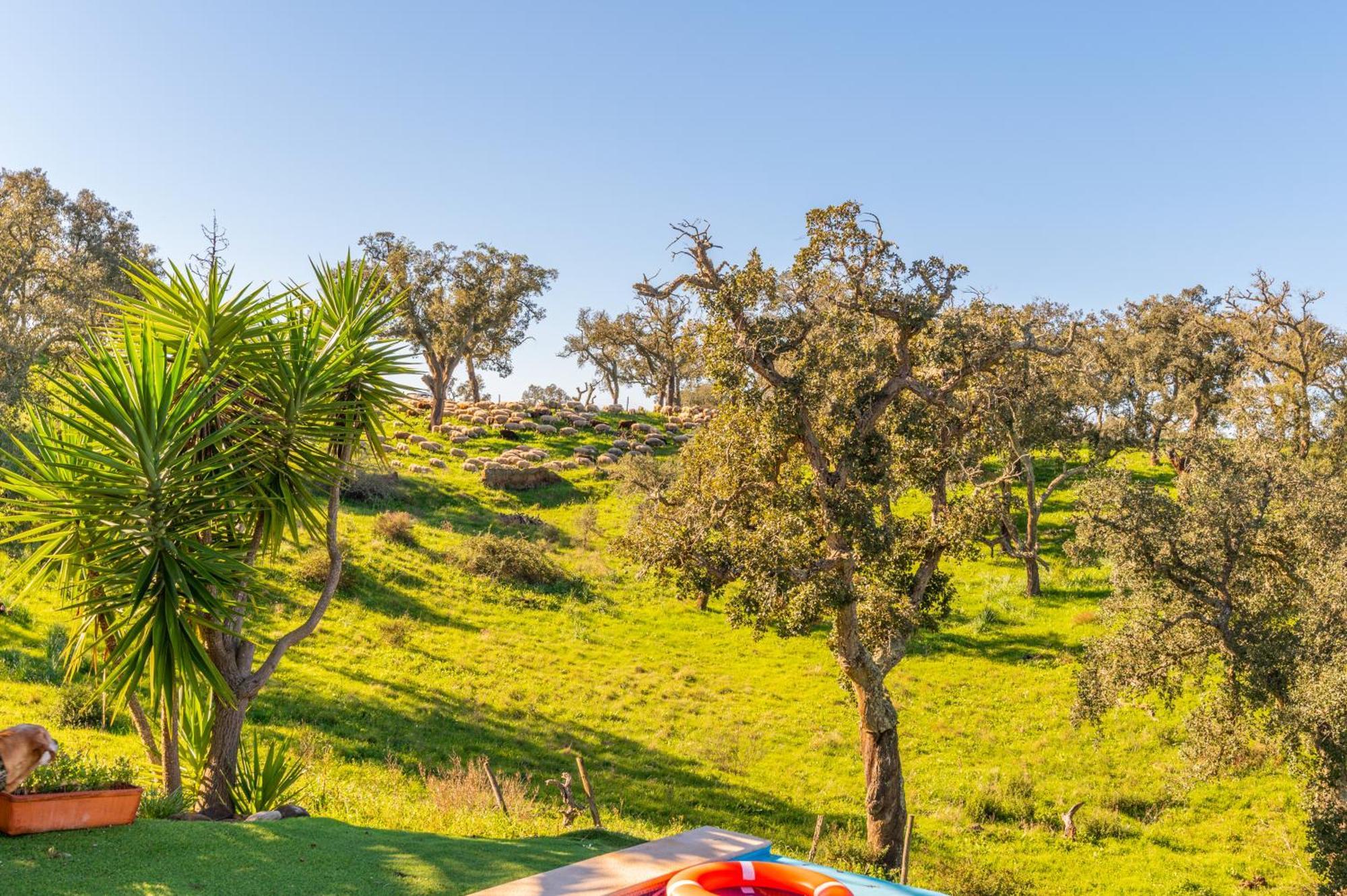 Sierra Melides Villa,Alentejo, Br2 With Private Pool, Br3 With Private Pool - Near Beach Sao Francisco da Serra Room photo